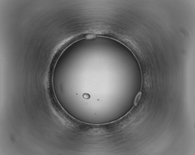 X0000110940536200906261302