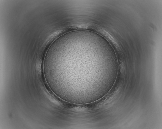 X0000110940537200906261302