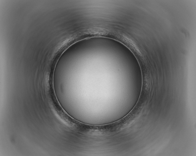 X0000110940538200906261302