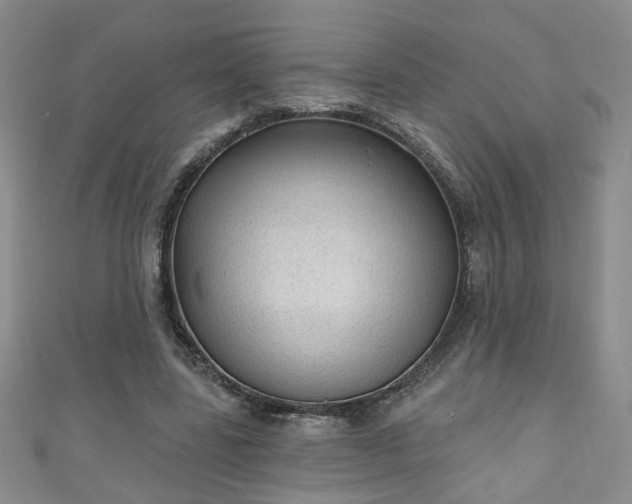 X0000110940539200906261302