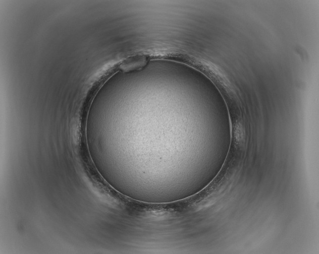 X0000110940540200906261302