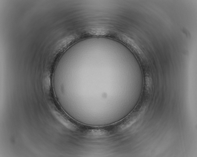 X0000110940541200906261303