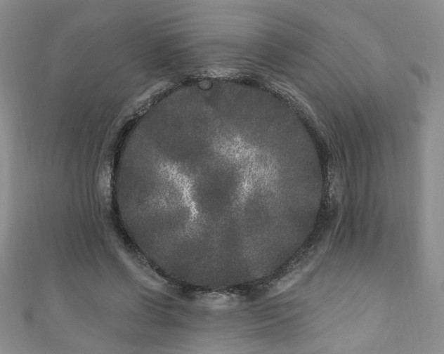 X0000110940542200906261303