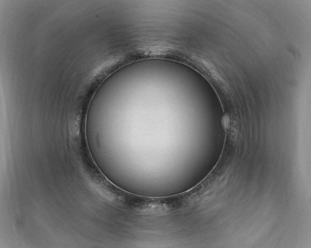 X0000110940543200906261303