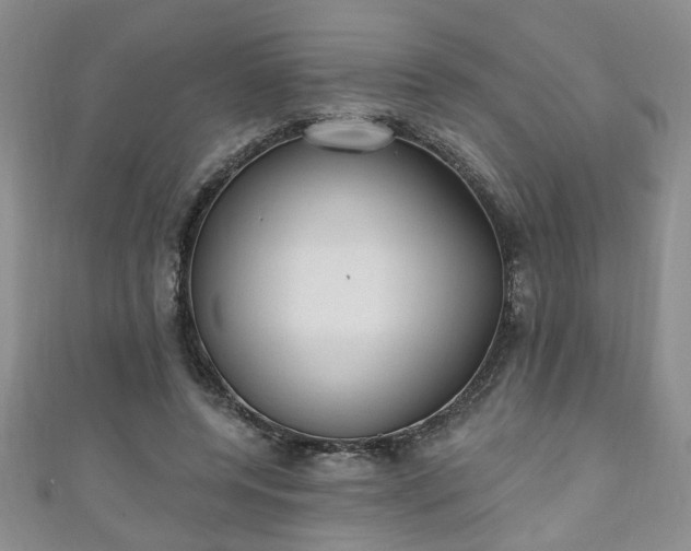 X0000110940544200906261303