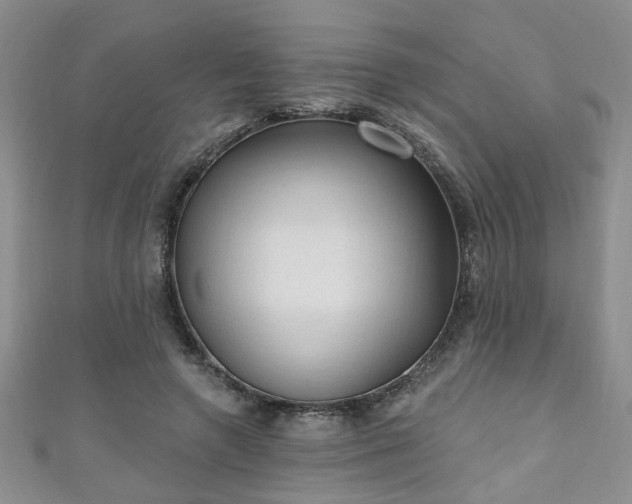 X0000110940546200906261303