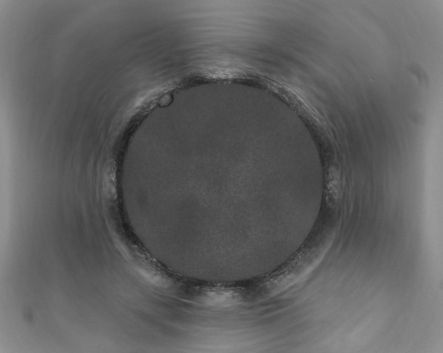 X0000110940547200906261303