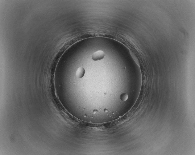 X0000110940548200906261303