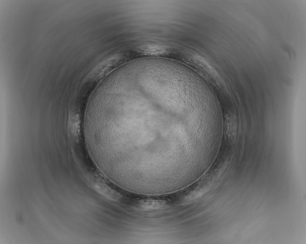 X0000110940549200906261303