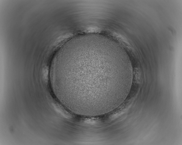 X0000110940550200906261303