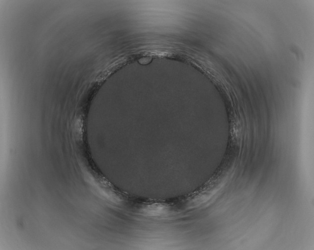 X0000110940551200906261303