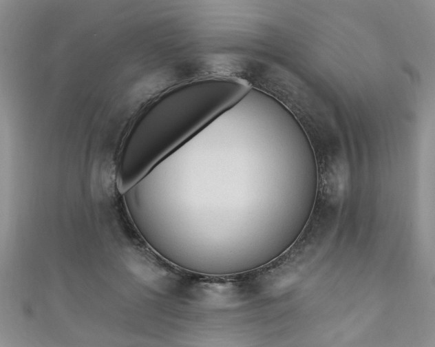 X0000110940552200906261303