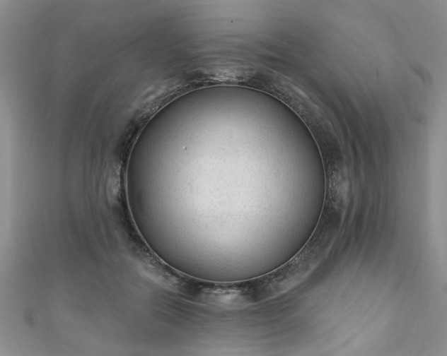 X0000110940554200906261303