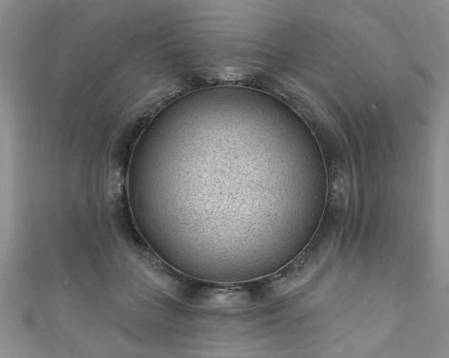 X0000110940555200906261303