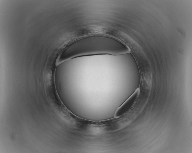 X0000110940556200906261303