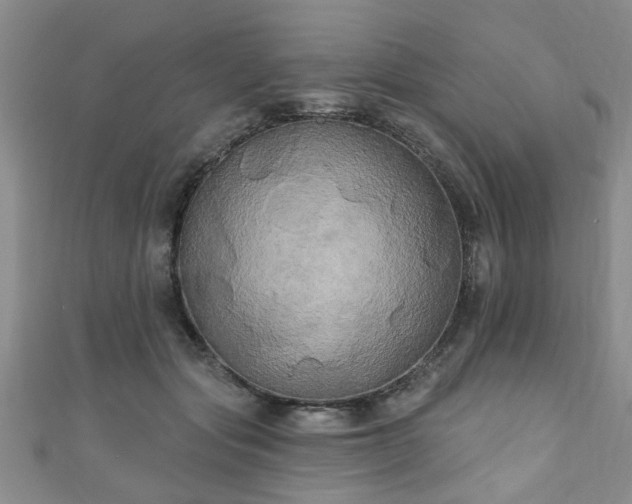 X0000110940557200906261303