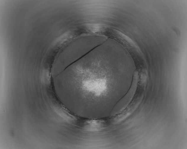 X0000110940558200906261303