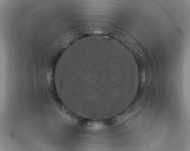 X0000110940559200906261303