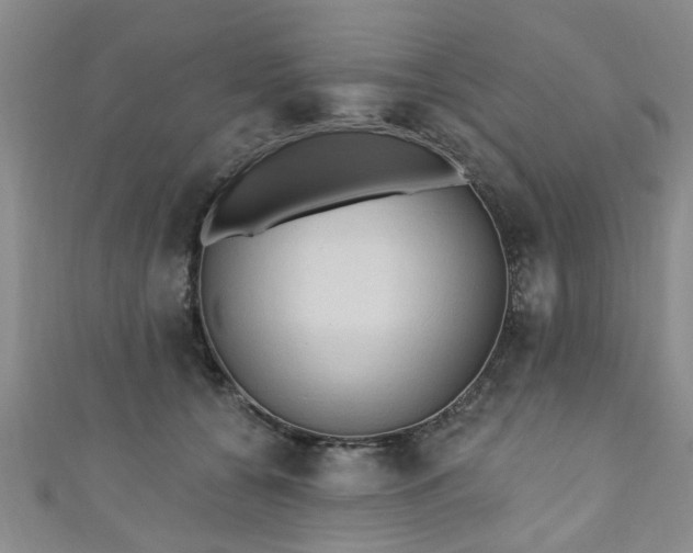 X0000110940560200906261303