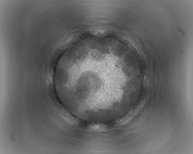 X0000110940561200906261303