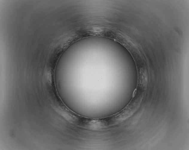 X0000110940562200906261303