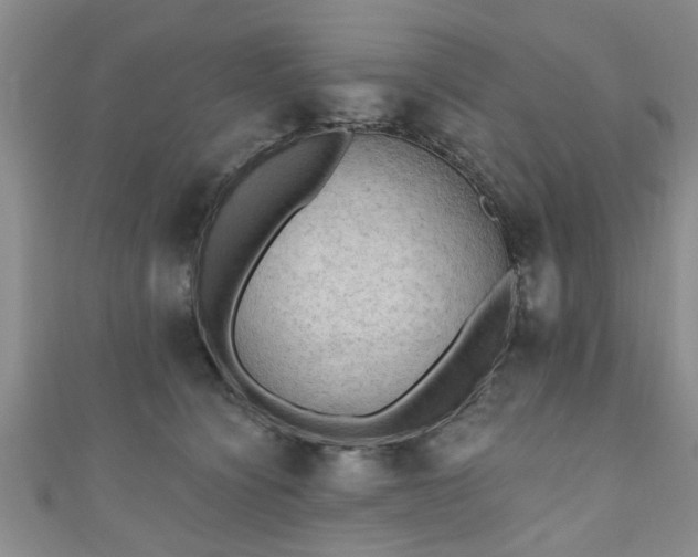 X0000110940564200906261303