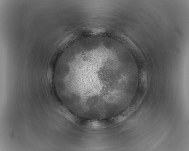 X0000110940565200906261303