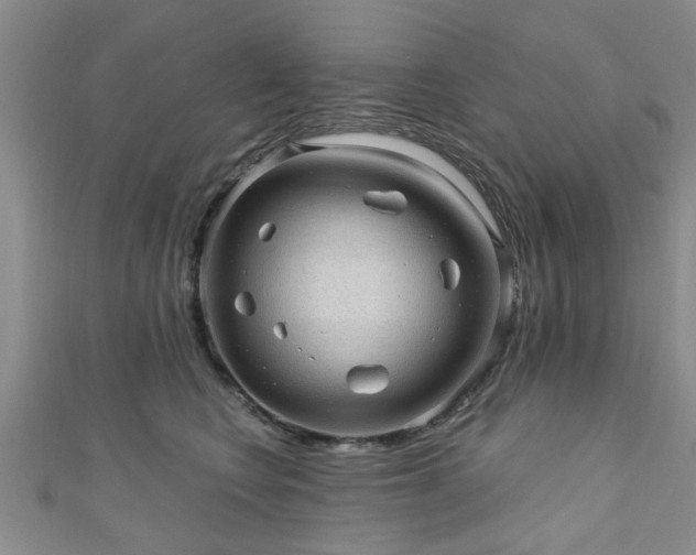 X0000110940566200906261303