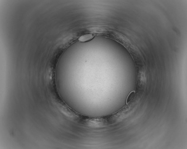 X0000110940567200906261303