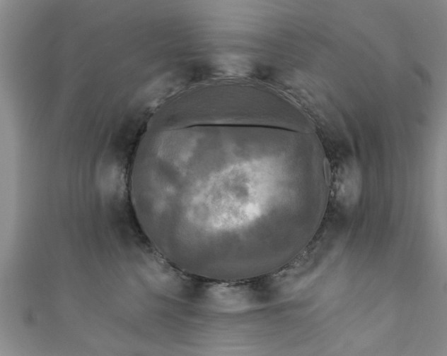 X0000110940568200906261303