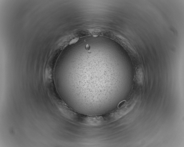 X0000110940571200906261303