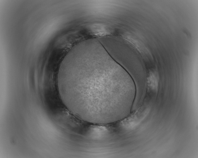 X0000110940572200906261303