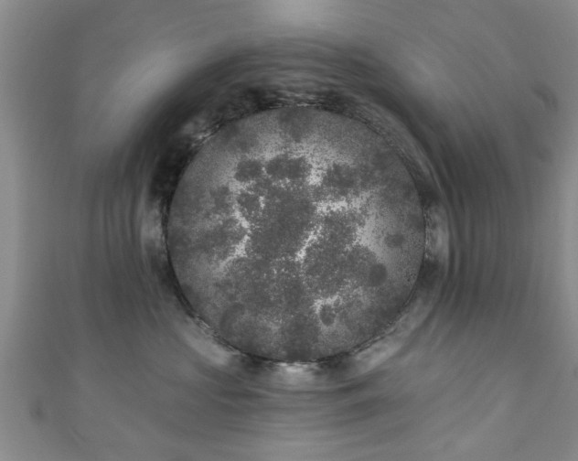 X0000110940573200906261303