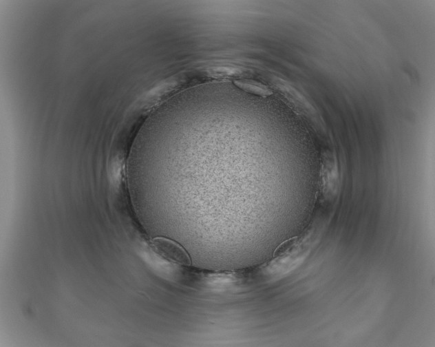 X0000110940574200906261303