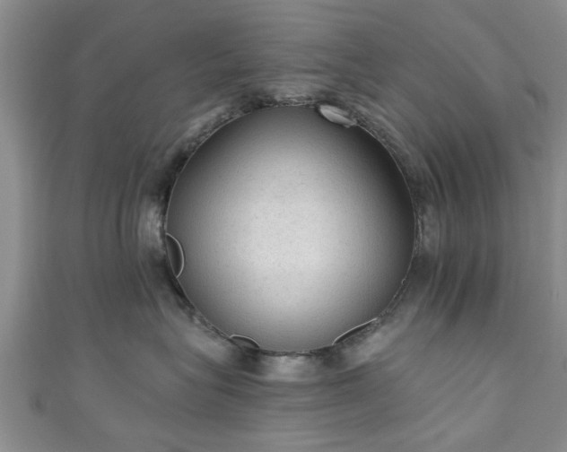 X0000110940575200906261303