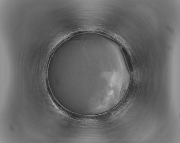 X0000110940577200906261302