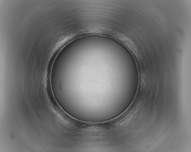 X0000110940578200906261302