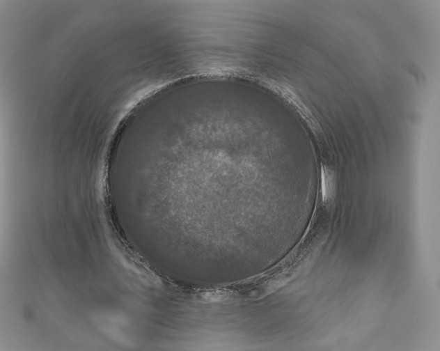 X0000110940579200906261302