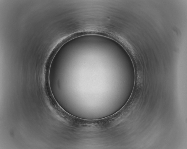 X0000110940580200906261302