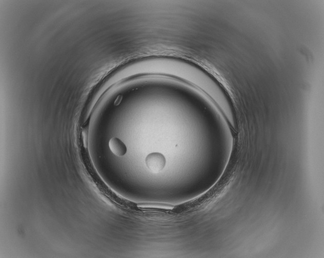 X0000110940581200906261302