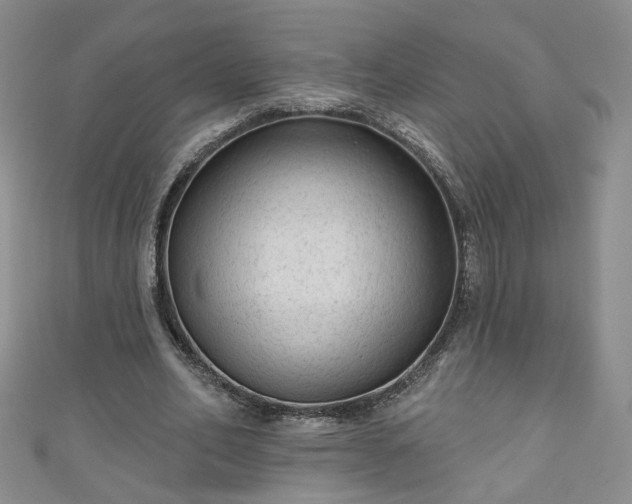 X0000110940582200906261302