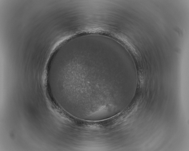 X0000110940583200906261302