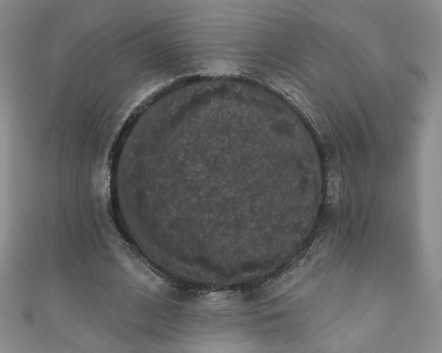 X0000110940584200906261302