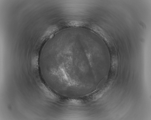 X0000110940585200906261302