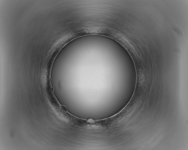 X0000110940586200906261302