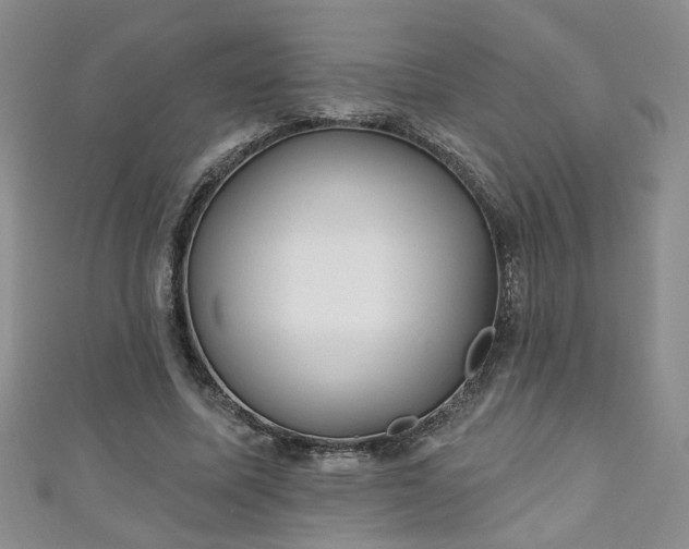 X0000110940587200906261302