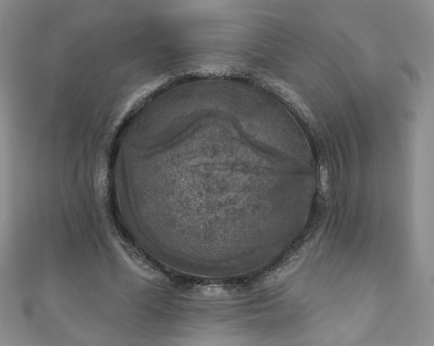 X0000110940588200906261302