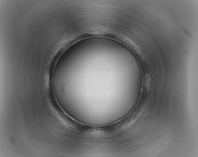 X0000110940589200906261302