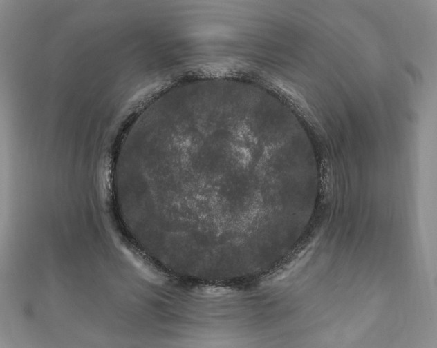 X0000110940590200906261302