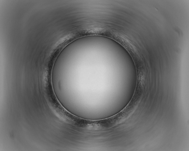 X0000110940591200906261302